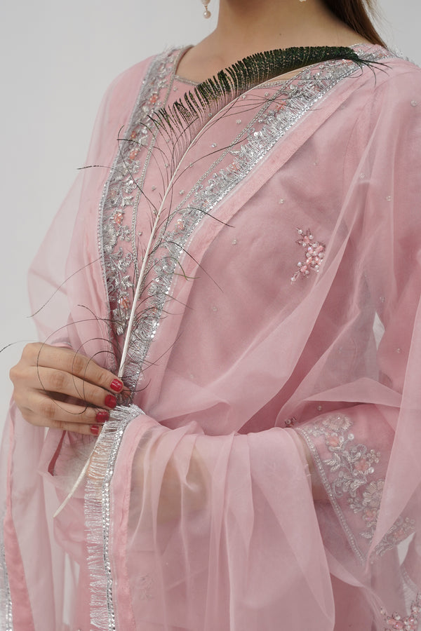 Khaas - Luxury Organza Outfit - Hand Work - Ready to Wear - Tehv10d4