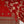Tehwar - Luxury Festive Collection  with Shararah- Ready to Wear - Tehv10d7