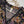 Rozi - Luxury Dhanak  Co-Ords - Ready to Wear PKD002