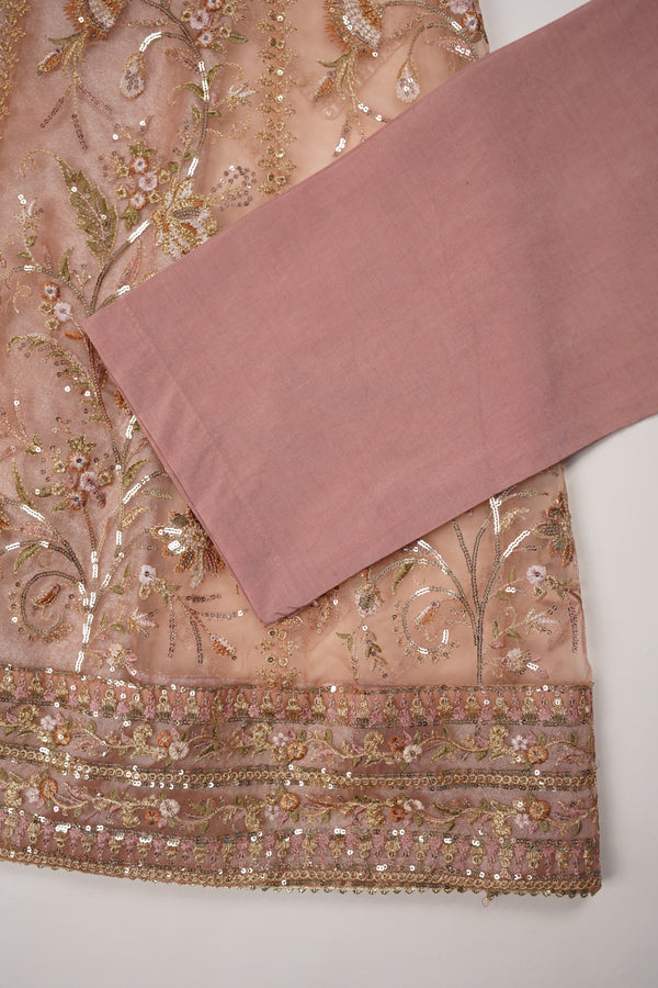 Tehwar - Luxury Organza Maxi  - Ready to Wear pink