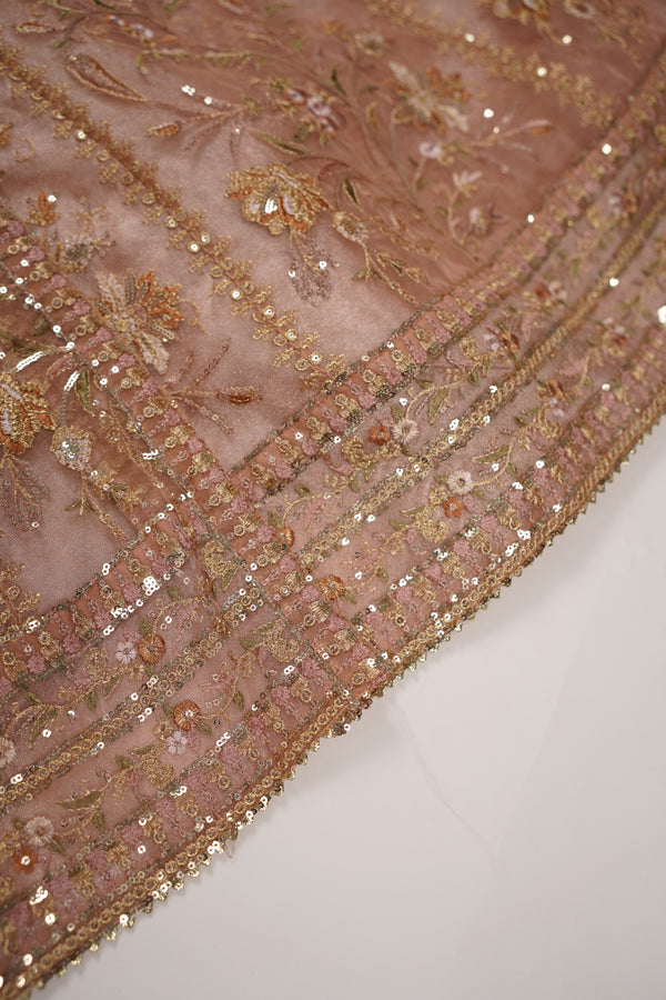 Tehwar - Luxury Organza Maxi  - Ready to Wear pink