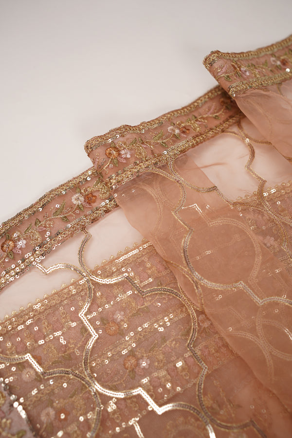 Tehwar - Luxury Organza Maxi  - Ready to Wear pink