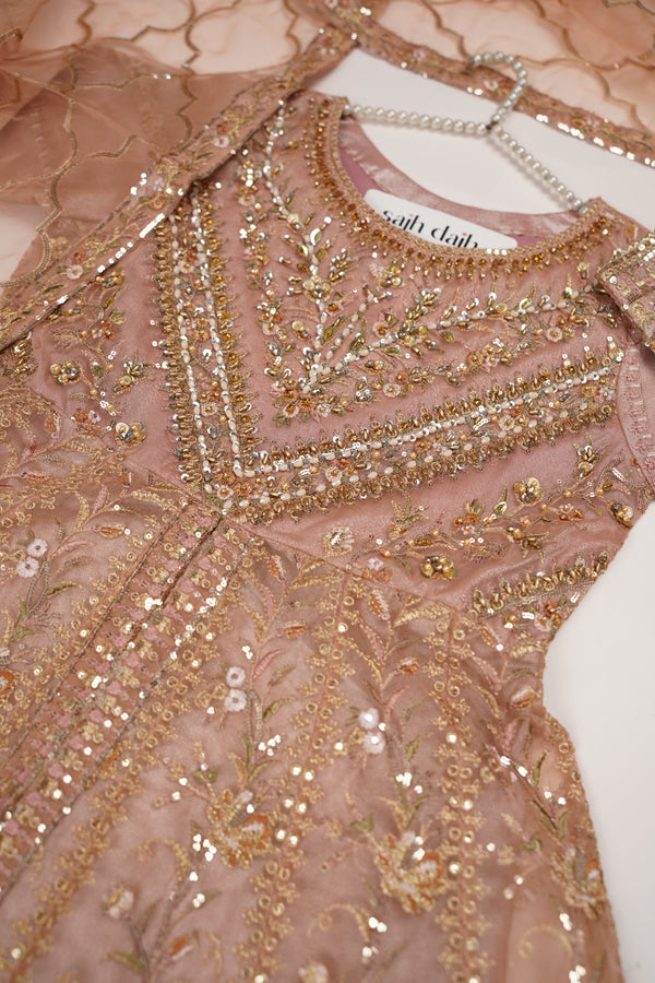 Tehwar - Luxury Organza Maxi  - Ready to Wear pink