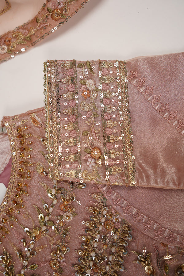 Tehwar - Luxury Organza Maxi  - Ready to Wear pink
