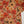 Rozi - Luxury Dhanak  Co-Ords - Ready to Wear PKD008
