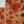 Rozi - Luxury Dhanak  Co-Ords - Ready to Wear PKD008
