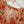 Rozi - Luxury Dhanak  Co-Ords - Ready to Wear PKD008