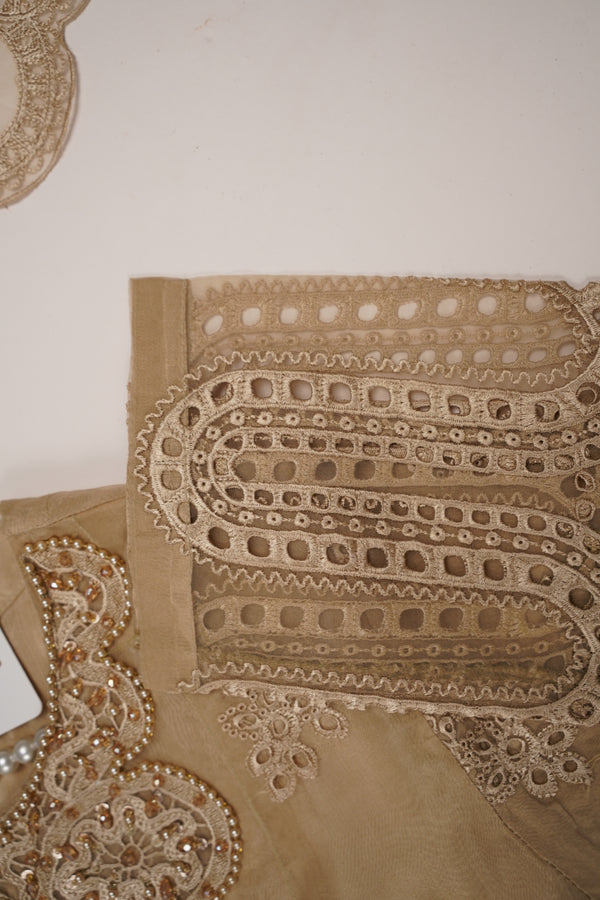 Tehwar - Luxury Festive Collection - Ready to Wear - Tehv9d5