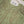 Tehwar - Luxury Festive Collection - Ready to Wear - Tehv9d6
