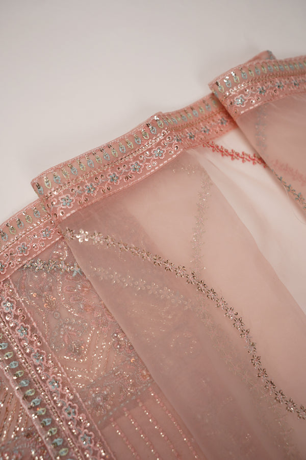 Tehwar - Luxury Festive Collection - Ready to Wear - Tehv9d9