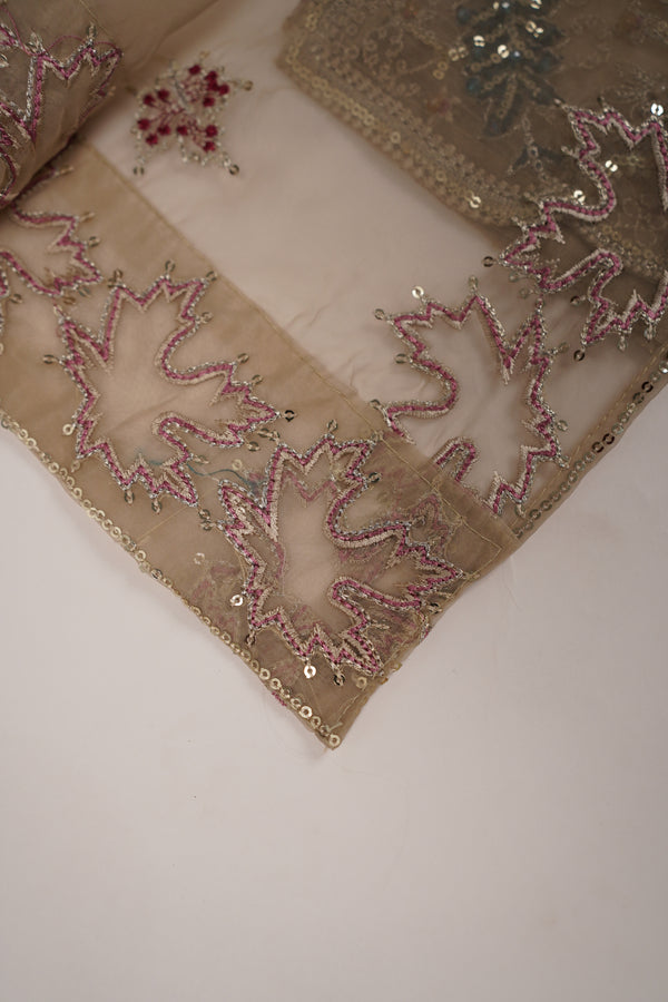 Tehwar - Luxury Festive Collection - Ready to Wear - Tehv10d1