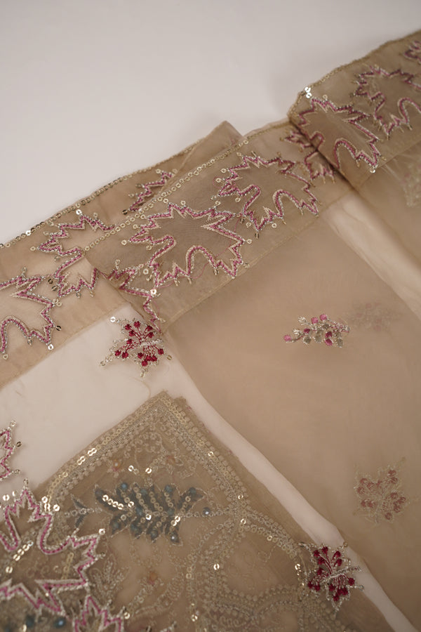 Tehwar - Luxury Festive Collection - Ready to Wear - Tehv10d1