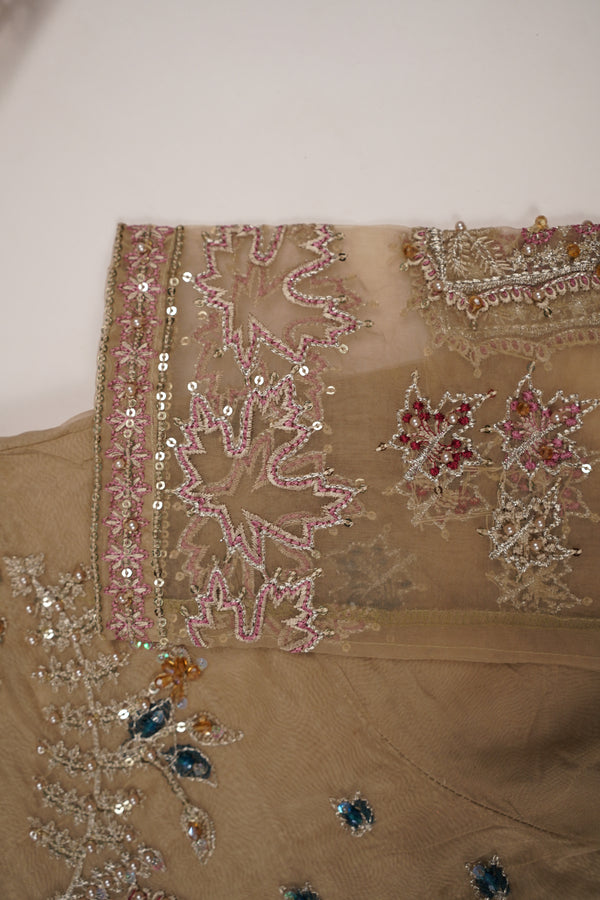 Tehwar - Luxury Festive Collection - Ready to Wear - Tehv10d1