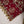 Husan e Jahan - Luxury Festive Collection With Shararah - Ready to Wear - HEJ-V6-D2