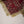Husan e Jahan - Luxury Festive Collection With Shararah - Ready to Wear - HEJ-V6-D2