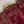 Husan e Jahan - Luxury Festive Collection With Shararah - Ready to Wear - HEJ-V6-D2