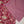 Rozi - Exclusive Khaddar Outfit with  Shawl - Ready to Wear - PD149