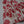 Girls Layered Floral Print Dress (3-6Y)