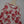Girls Layered Floral Print Dress (3-6Y)
