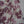 Girls Layered Floral Print Dress (3-6Y)