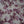 Girls Layered Floral Print Dress (3-6Y)