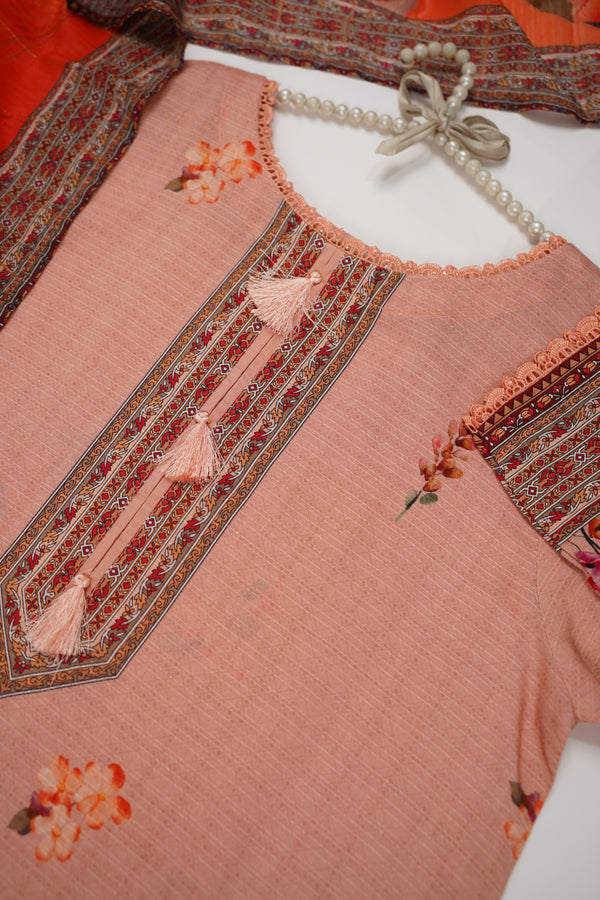Rozi - Printed Viscose Outfit - Ready to Wear PD134
